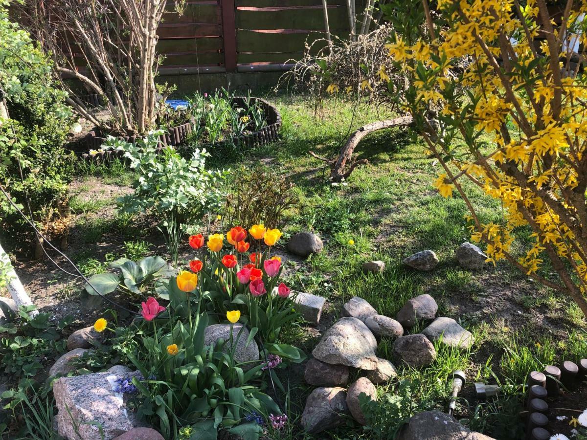Aida Goscinne Bed & Breakfast Gdańsk